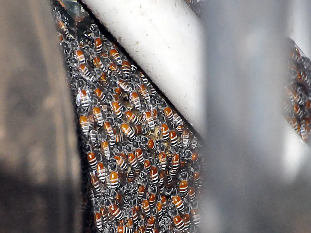 Harnessing Intellect in Agriculture: The Quiet Tech Advancements Shaping Modern Farming