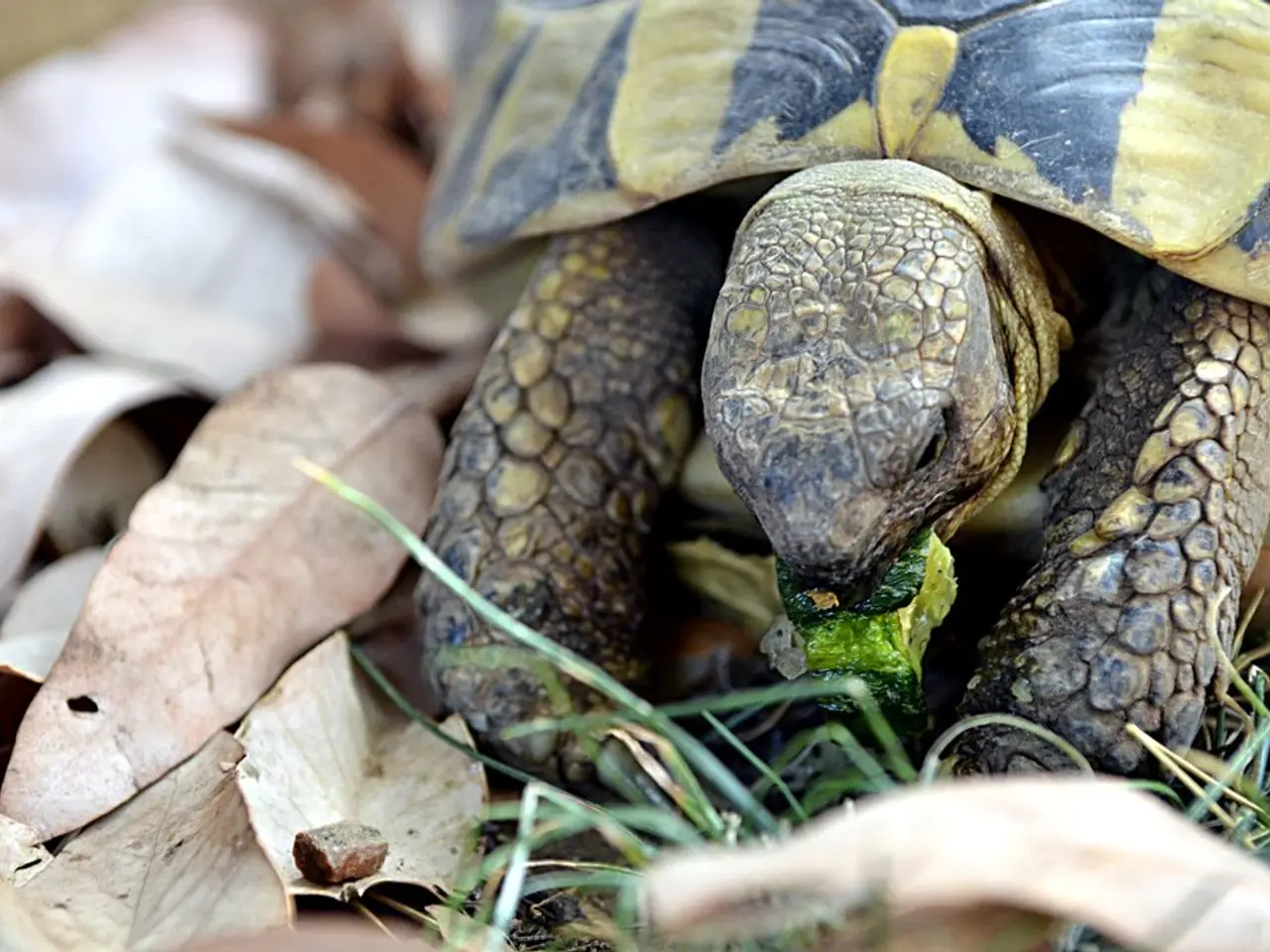 Hop agriculture journey, from Atzenhof to field cultivation in Hallertau