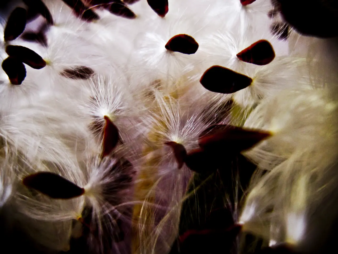 Ready to embark on seed growth in your garden? Give winter sowing a try this upcoming weekend!