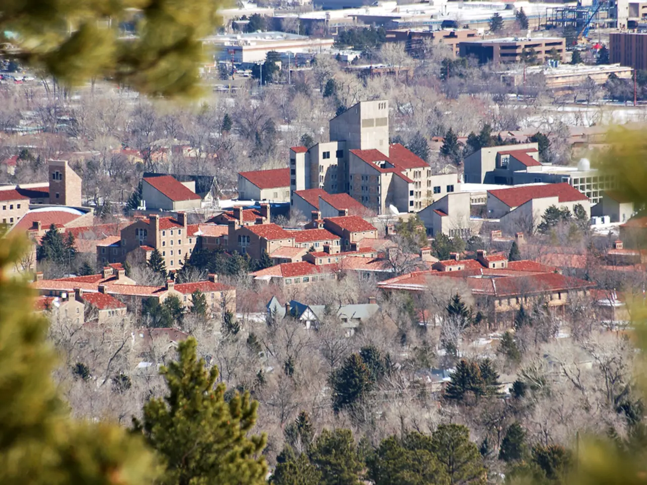 Simple Watercolor Landscape: Painting an Autumn Tree