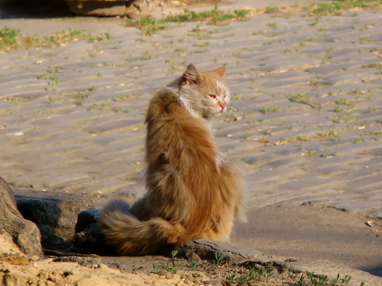 Inhabitants of Petropavlovsk-Kamchatsky are heavily engaging in the signing of social agreements