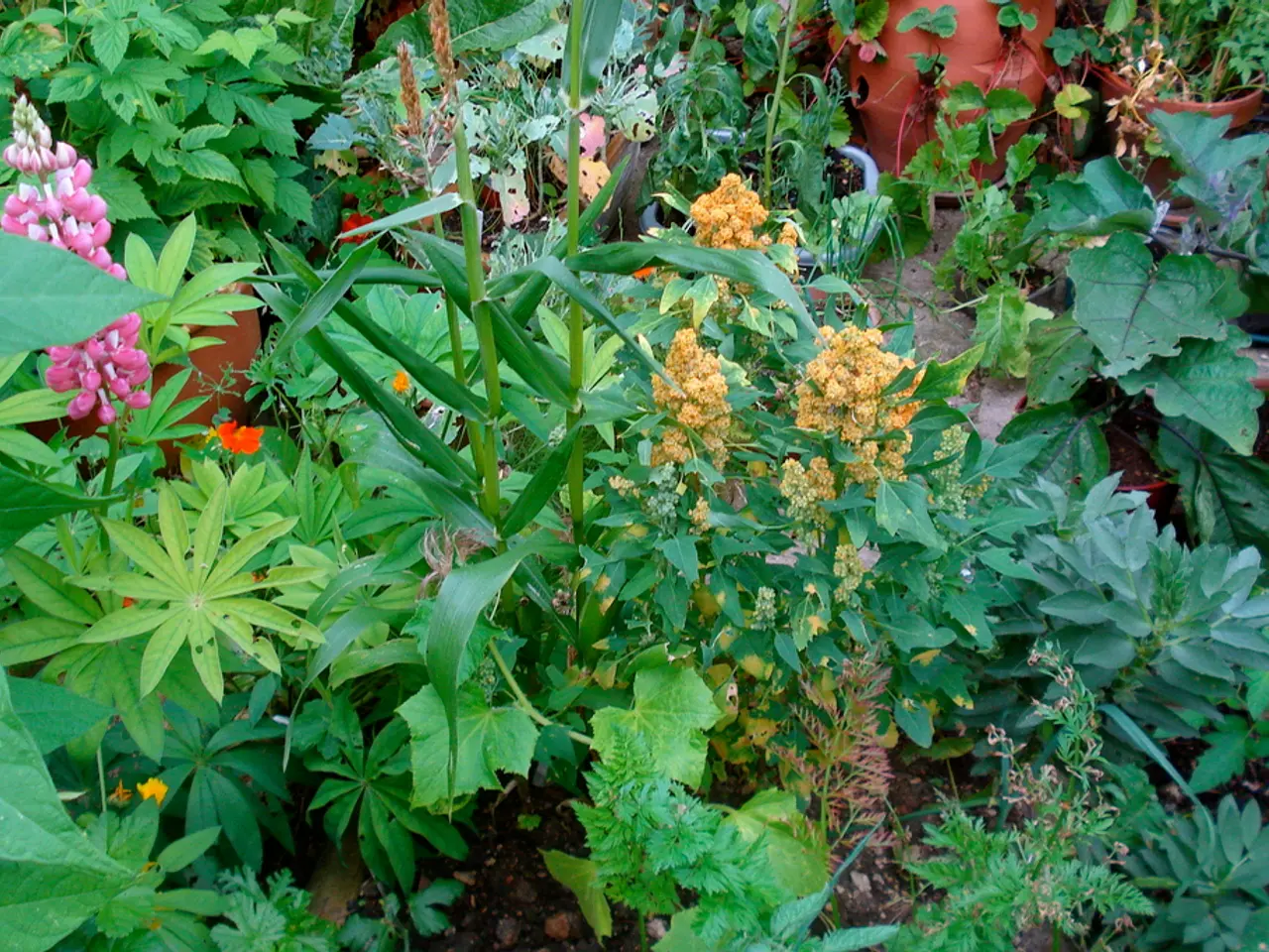 Garden Trivia Questions: An Enjoyable Method for Expanding Your Green Thumb Knowledge
