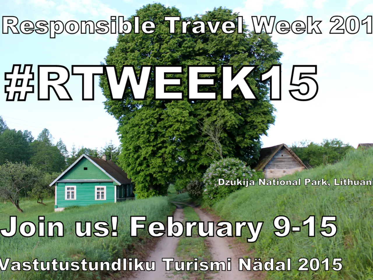 Practical Gardening Advice for Winter Months