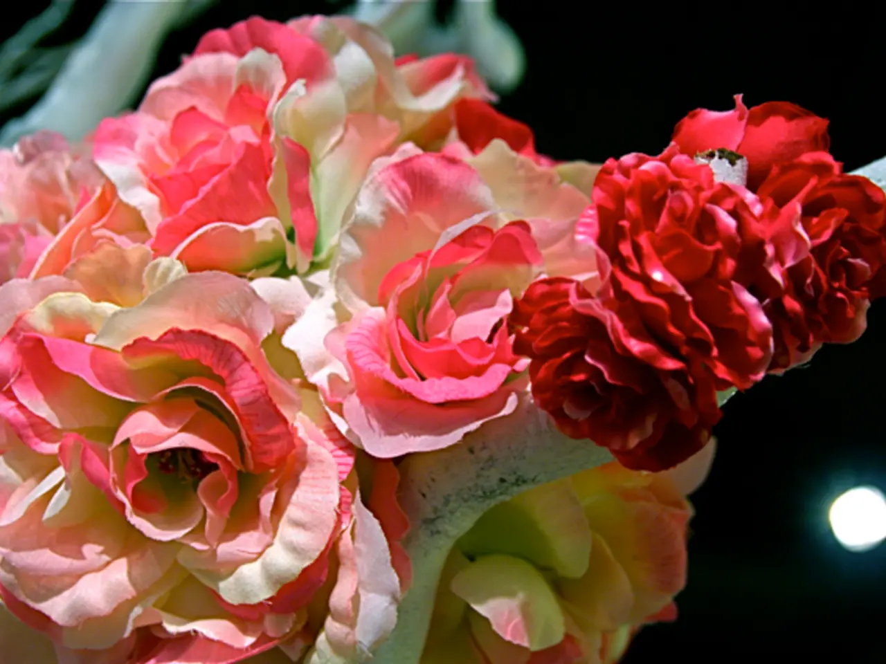 Designer's Perspective on Rosa Loves Me® Radiant Rebecca