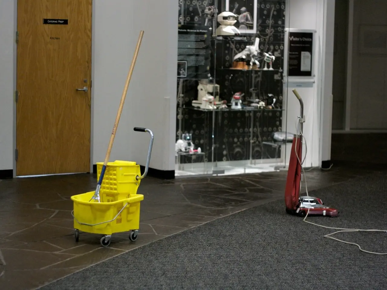 Score superb savings of 350 euros on the top-ranked suction-wipe robot, currently available at a...