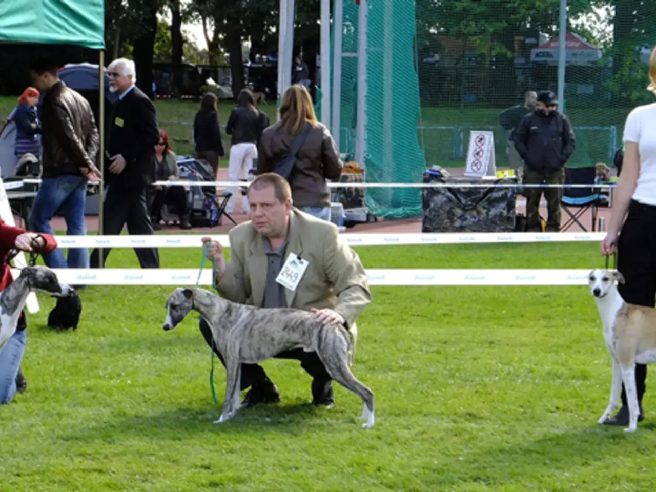 Halle (Saale) City Seeks Financial Backing for a Local Canine Recreation Area