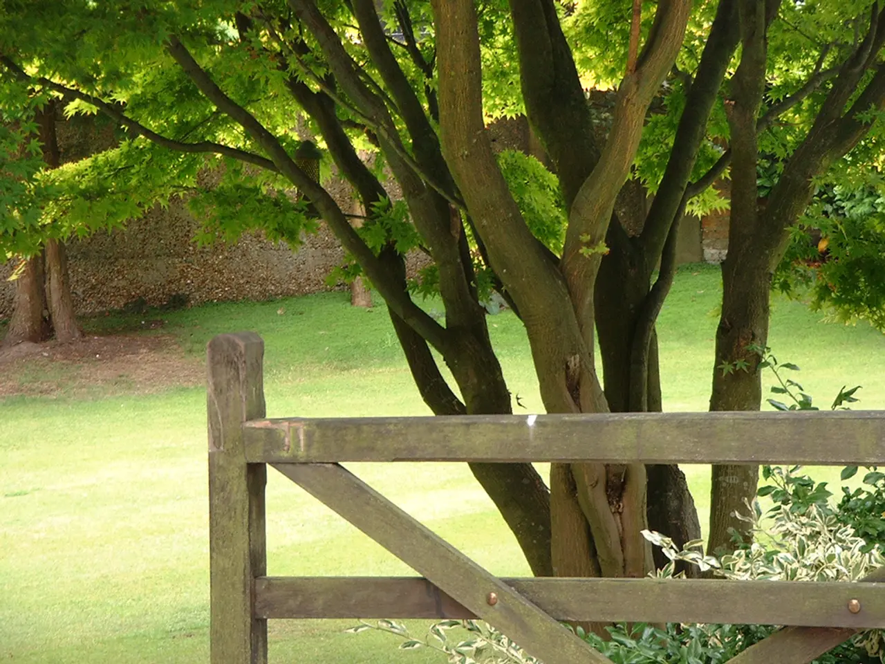 Are Dyed Garden Mulches Harmful - Assessing the Safety of Colorful Mulch in Yards