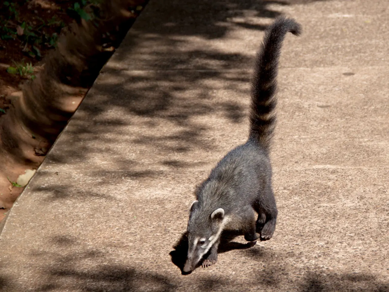 September brings potential threats to gardens: Major Plant Diseases to Monitor and Garden-Saving...