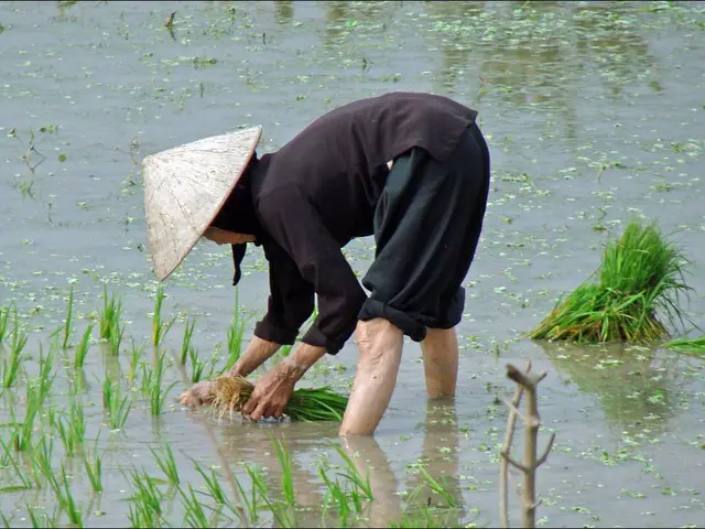 Preparing Your Garden for Next Spring: Autumn Strategies