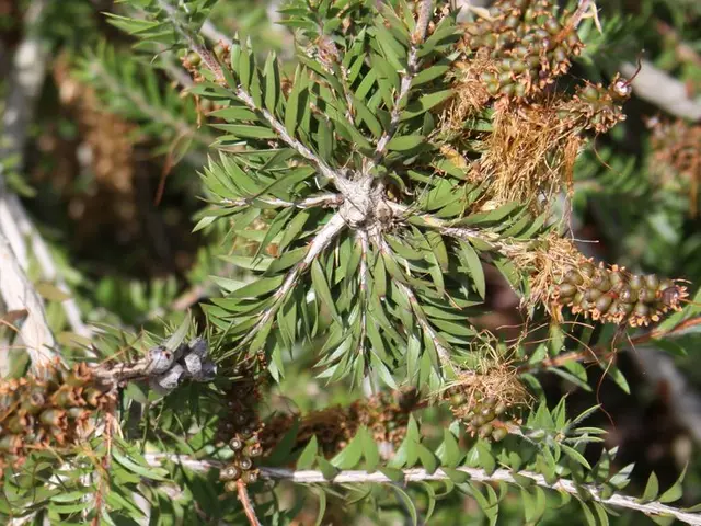 Quick-Expanding Indoor Fruit Trees: Cultivate These Tree Species Inside Your Home