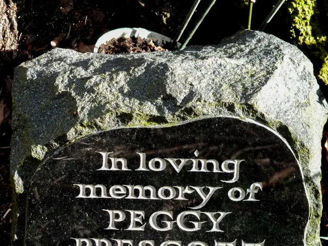 Frequent Basil Harvesting for Continuous Growth: A Guide