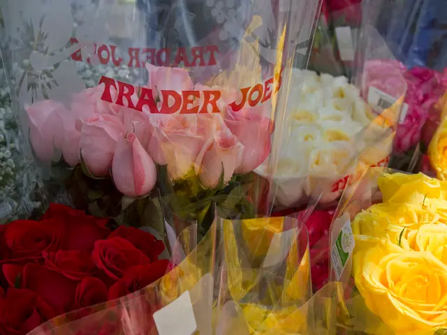 Quick Bloomers: 8 Vibrant Climbing Roses for InstantColor Explosions with Minimal Effort