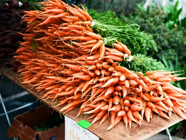 Best Planting Times for Carrots in North Carolina, With Helpful Tips