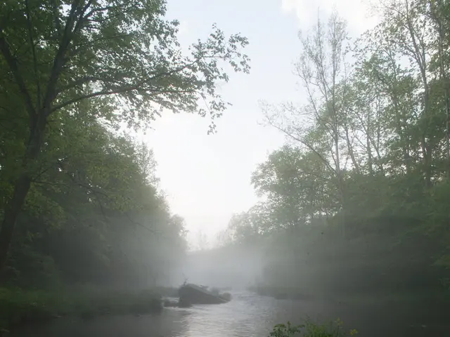 Transform Your Yard into a Tranquil Water Oasis at Home