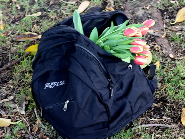 Transforming Uninviting Strip Into An Appealing Extension of Your Yard: Expert Guidance on Design,...