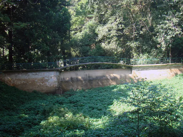 Pruning Perennials in Autumn: Detecting the Optimal Time to Trim and the Wiser Decision to Leave...