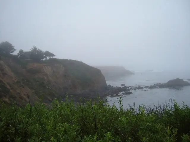 Reason Behind Monstera's Failure to Produce Split Leaves