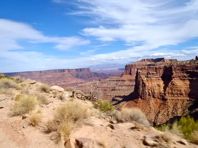 Unique Native Plants: Top 7 Shrubs That Every Gardener Should Incorporate into their Landscaping