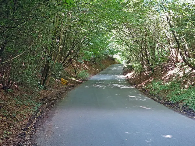 Landscaping Services Operate Seasonally in Omsk District