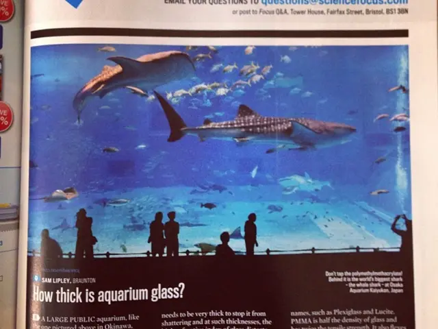 Expanding Population in Emmendingen County Remains Unabated