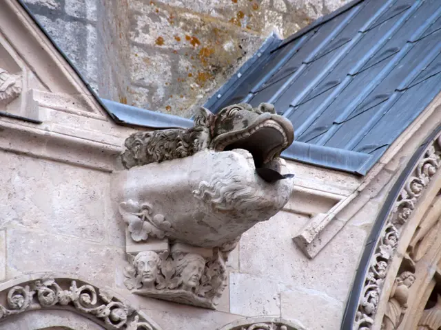 Delight in art every Sunday at Jungfernsee!