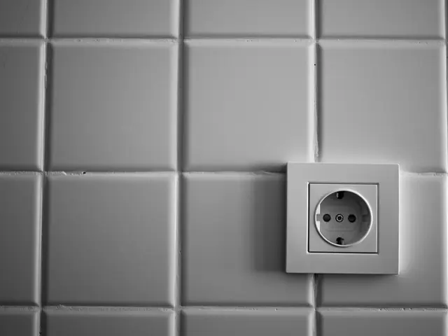 Removing Rawl Plugs from a Wall without Inflicting Damage: Guidance