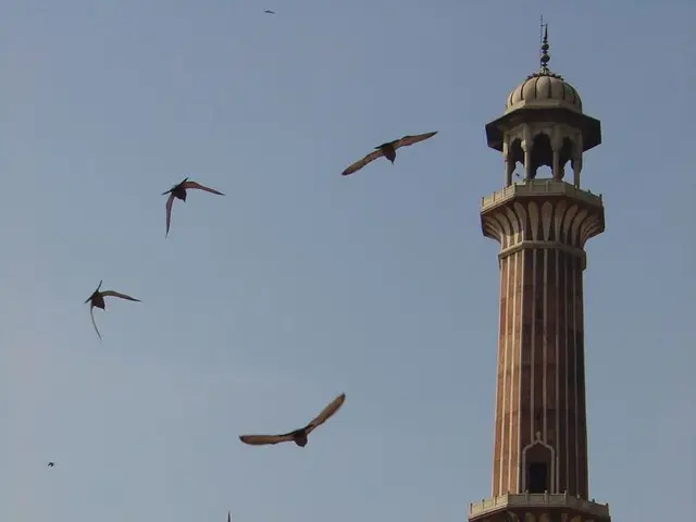 Abandoned and enshrouded in mysterious folklore, the world's colossal, unfinished haunted house...