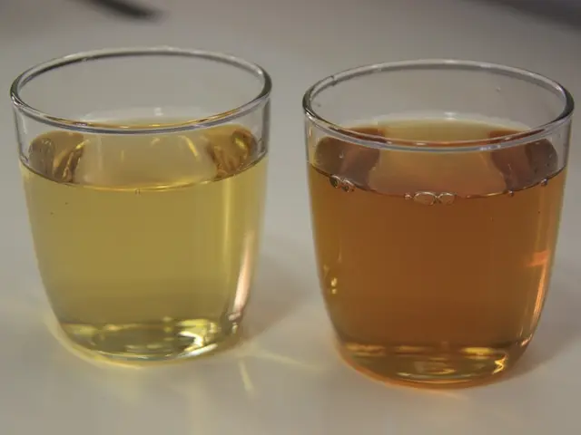 The Degree of Cleanliness of the Glasses at the Bremen Freimarkt