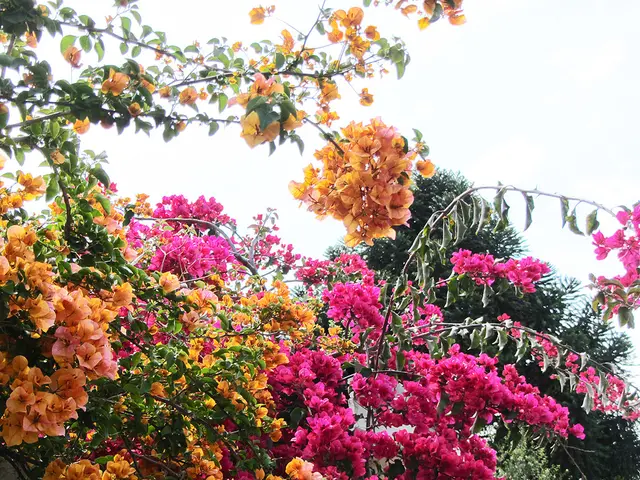 Upcoming Garden Greenery: 2025's Exciting New Plant Species to be Offered by Leading Nurseries