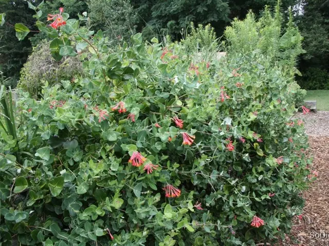 Enhancing Writing Ability Via Horticulture: Proven Techniques Revealed