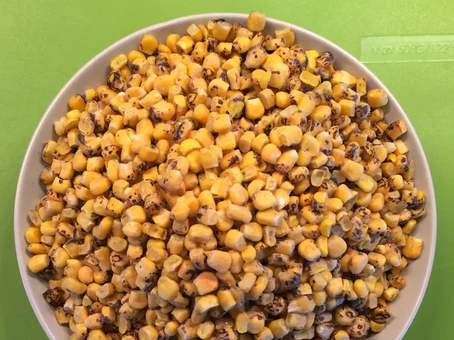 Optimal Soil Temperatures for Sweet Corn Growth: Crucial Tips Revealed