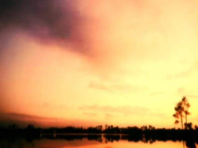 Fresh start announced: details revealed