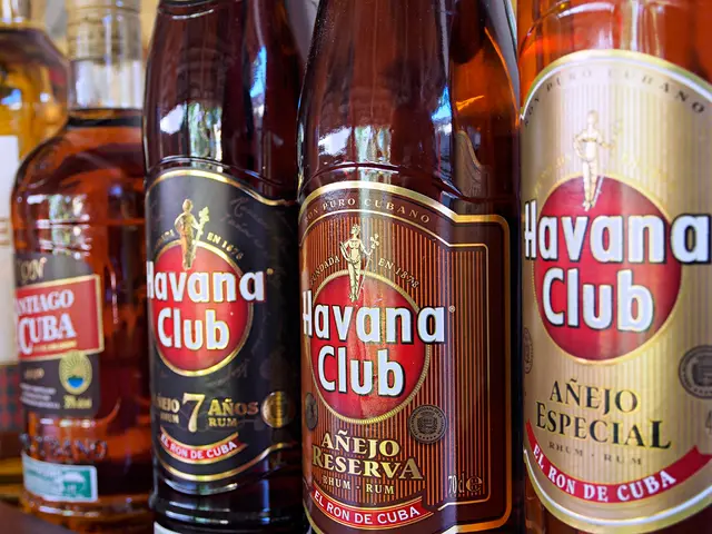 Secure Your Complimentary Membership to The Breathwork Collective!