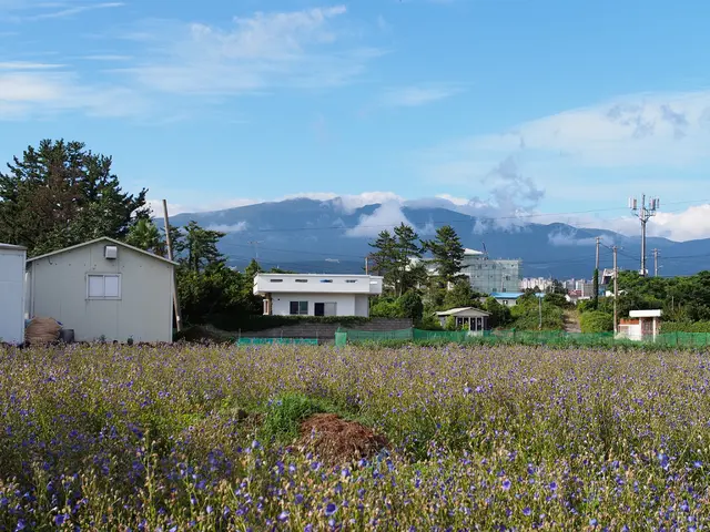 Solar Power's Pivotal Role in Cryptocurrency Operations