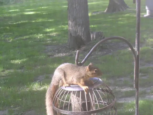 New Episodes Introducing Fresh Characters