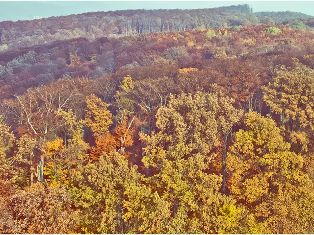 Encouraging Sign for Neusser Climate: Increasing Number of Citizens Contribute Trees