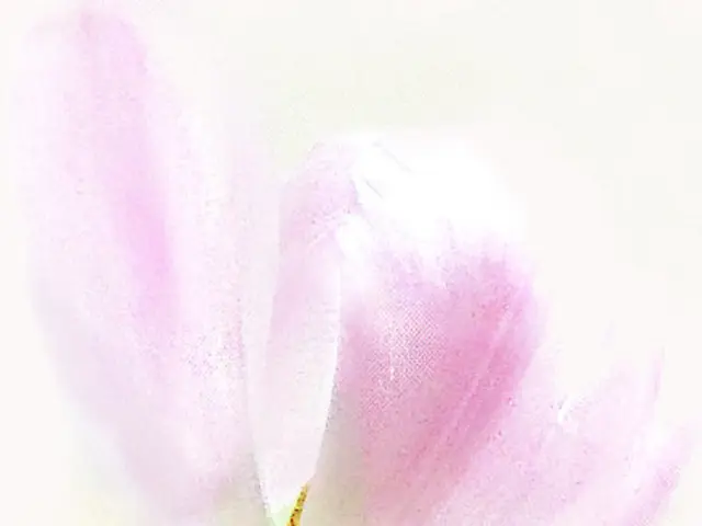 Unleash Floral Finishes on Your DIY Projects: A Look at Tips and Creative Inspiration for Spray...