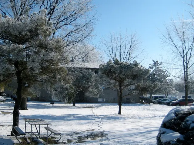 In Galitsky Park, Krasnodar, it is prohibited to stroll on the grassy areas