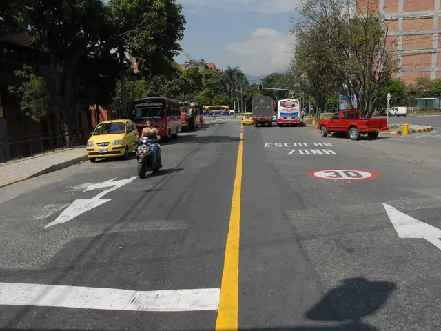 Turkeys and Chickens: A Comparative Analysis