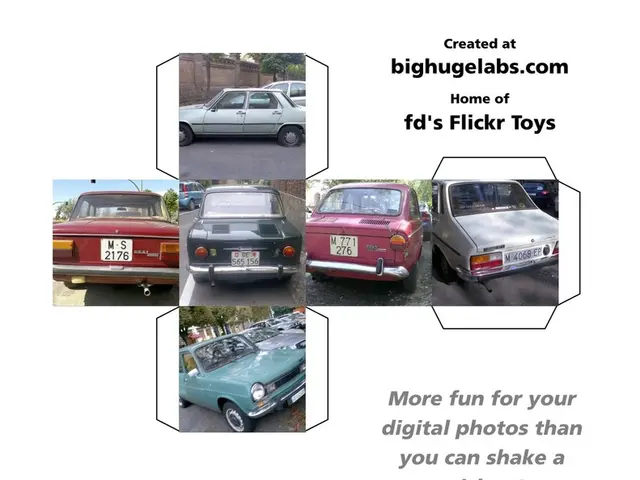 Unclear traffic guidelines often being disregarded by novice drivers with P plates