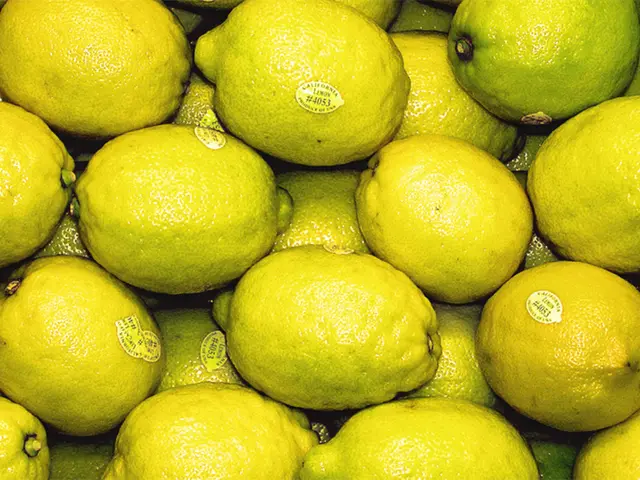 Lemon trees: a zesty, rejuvenating touch for your backyard garden