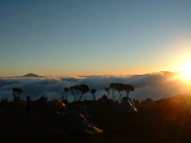 Constructing a Winter Refuge in the Colorado Rockies - Section 3: Crafting a Winter Hideout