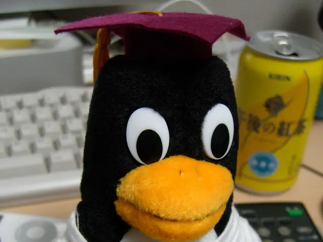 Limited-time availability of iconic Donkey Kong Bananza game elements!