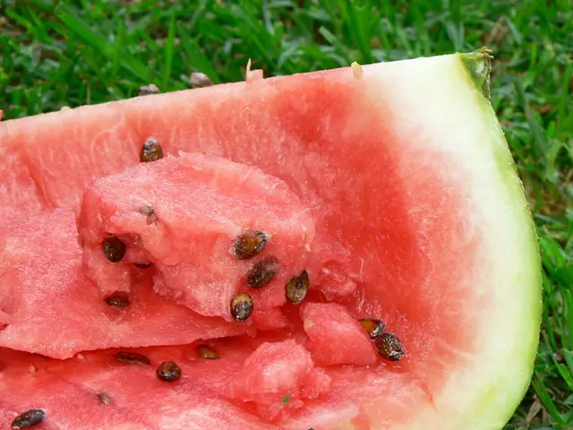Methods for Cultivating Watermelons for Delicious Fruit Throughout the Summer Season