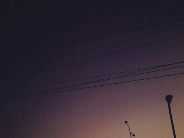 Bonsai Wiring: An Explanation of When, Why, and How, with Recommended Bonsai Wires for Perfect...