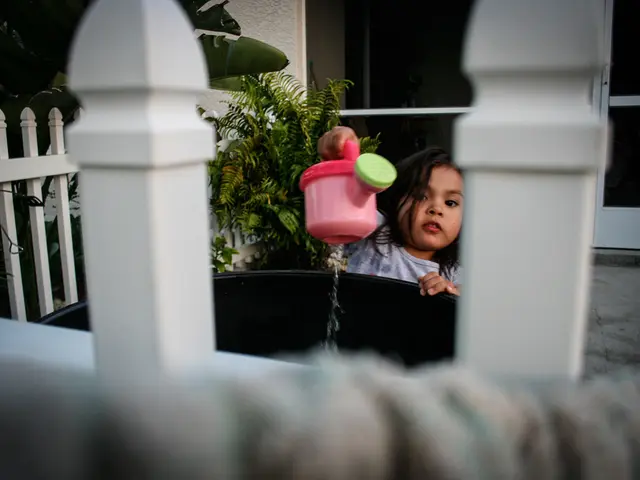 Top- ranked watering cans for your garden in the year 2025