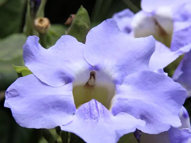 Planting Seeds in March: A Guide for Gardeners