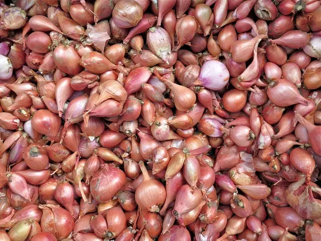 Guide for Onion Harvest: Essential Information You Should Have