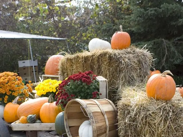 Insightful Overview of Modern Golf Cart Charging Methodologies!