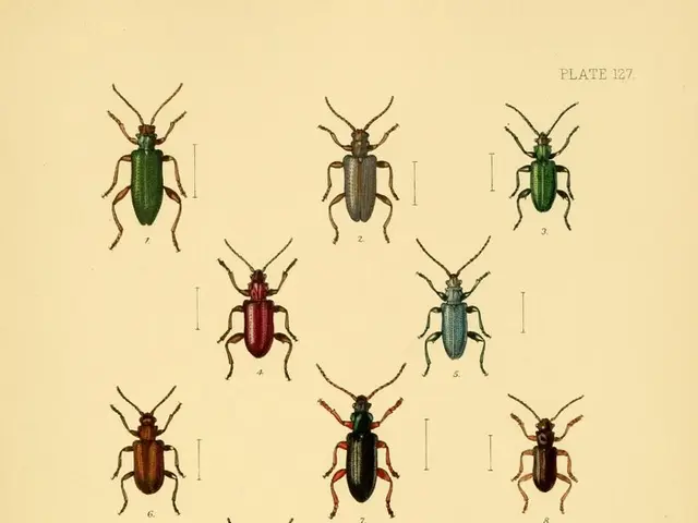 Predatory Lady Bugs: A Spotlight on Their Invasive Habits and Impact on Ecosystems